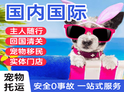南昌昌北空运代理国际宠物托运 【国